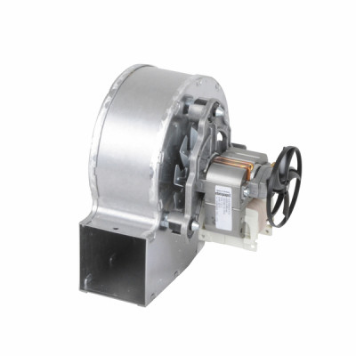 extractor (solo)- CHAPPEE - JJJ005632530