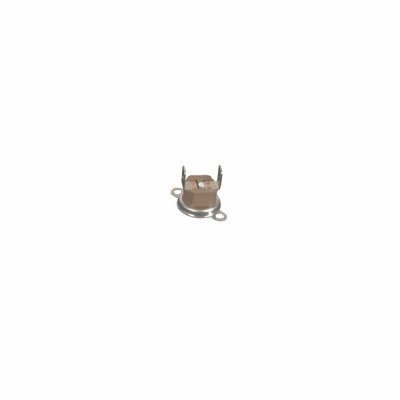 Sécurité de surchauffe- CHAPPEE - JJJ009950760