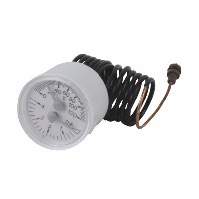 Thermo hydrometer - BERETTA : R10023431