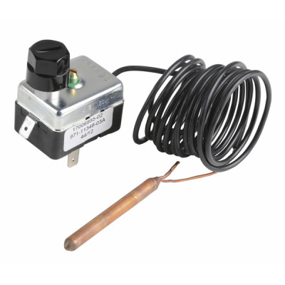 Termostato TG400 capilar 2m- CHAPPEE - S17006955