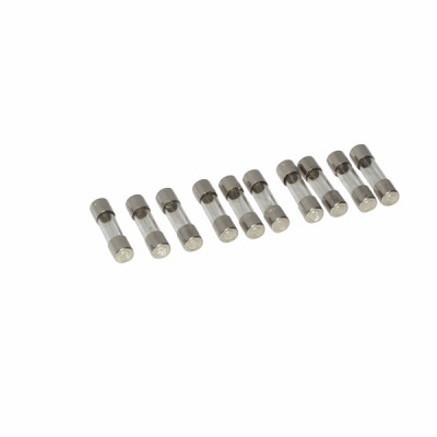 Lot fusible 2 AT- DE DIETRICH - S43561  - (X10)