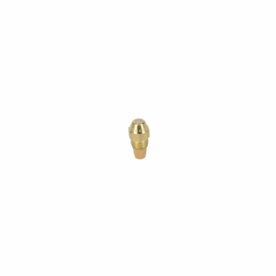Gicl.delavan 0,50g 60°ct w(bf)- CHAPPEE - S50032671