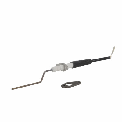 Ionization electrode - CHAPPEE : SRN692366