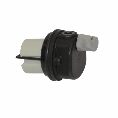 Automatic vent valve - IMMERGAS : 1.022102