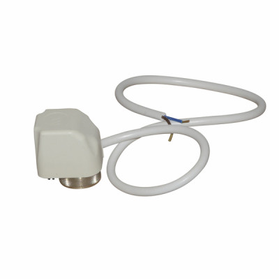 Motor - SAUNIER DUVAL : 0020073614