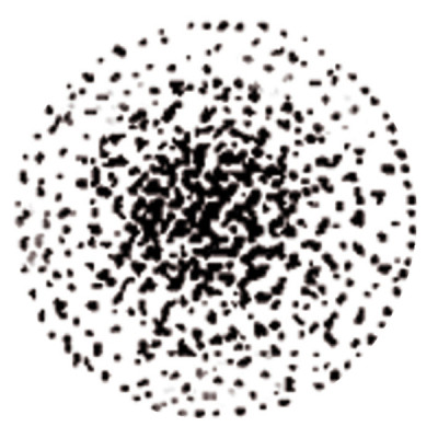 Gicleur STEINEN 0.40G 45° ST - STEINEN : 040D45ST