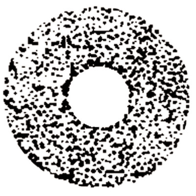 Gicleur STEINEN 4,50G 45° SS - STEINEN : 450D45SS