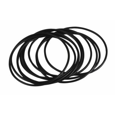 Gasket reference 3007162 (10 parts)  (X 10) - RIELLO : 3007162