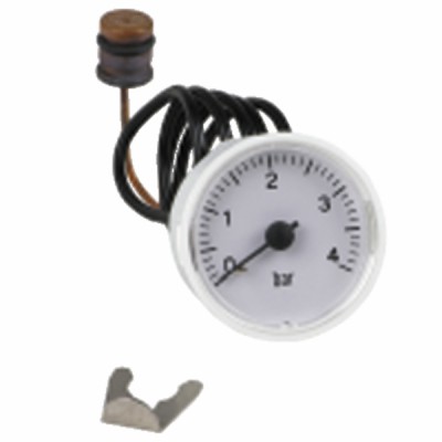 Pressure gauge ferroli 39820080 - FERROLI : 36402191