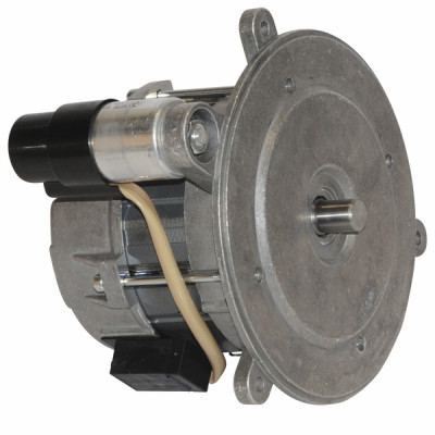 Motor hg 90W - GEMINOX : 63003767