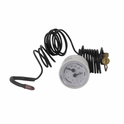 Schwarzes Kapillar-Thermomanometer - DIFF für Bosch: 87168249050