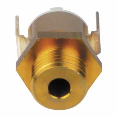 Low-water pressure gauge - ELM LEBLANC : 87168352950