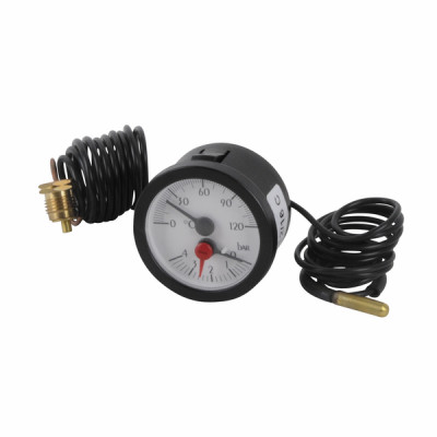 Manotermometro, 0-120ºc , 0-4 bar, ø56 - BIASI : BI1105500