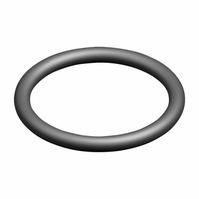 Anillo tórico (X 5) - ELM LEBLANC : 87167622050