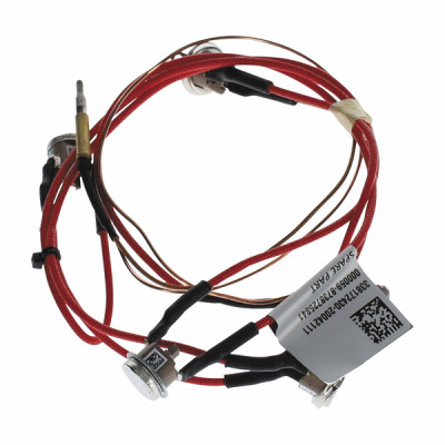 Thermocouple avec limiteurs de température - ELM LEBLANC : 8738726407