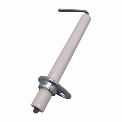 Flame sensing electrode- CHAPPEE - JJJ008423300