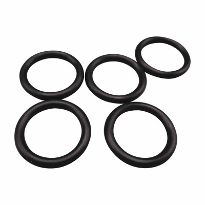 O rings pack 5 (X 5) - DE DIETRICH : S54771