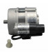 Motor 85W SGB - CHAPPEE : S58209849
