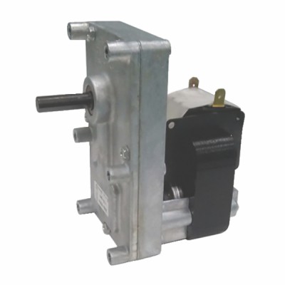 Screw motor 2 RPM stove SIR/TERMO/GLO/OR/DOMUSFIRE - FERROLI : 599000230