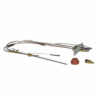 Brûleur pilote assy nat - AOSMITH : 0313230(S)