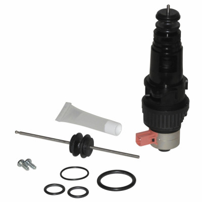 Valve de dérivation, moteur et axe - SAUNIER DUVAL : 8000041518