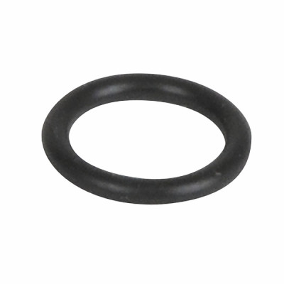 Or ø 13,94x2,62 xp70 nero marcatura  - IMMERGAS : 1.034340