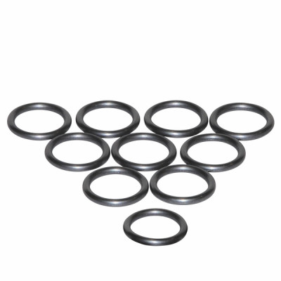 junta torica (X 10) - SAUNIER DUVAL : 0020047026