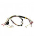 Faisceau- SAUNIER DUVAL - 0020217275