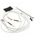 Conjunto de sondas de temperatura- ATLANTIC - 029279