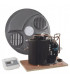 Vertical compressor plus regulator plus cover kit- ATLANTIC - 029451
