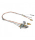 Pilot burner assy polidoro lp- AOSMITH - 0304315(S)