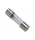Fuse 1A- DIFF - 100272  - (X10)