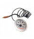 Thermomètre cewal 0-120°c- IMMERGAS - 1.023628