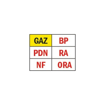Solenoid valve gas type madas ev25 ff1"- MADAS - EVP04 008