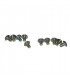 Vis (x10)- VAILLANT - 105900  - (X10)