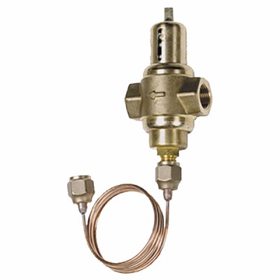 Pressure-actuated municipal water valve 2v low flow Kv: 0.5 threaded - JOHNSON CONTROLS : V46SA-9110