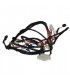 Faisceau 24v micro- ATLANTIC - 109354