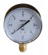 Manómetro 0 a 6 b Ø 100mm- DIFF - 109467