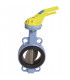 Wafer butterfly valve nf gaz dn80- DIFF - 109709
