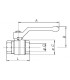 Ball valve MF T-handle PN 40 NF 1/2"- EFFEBI - 0825V404NF