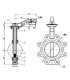 Válvula de mariposa con orejas roscadas d80- DIFF - 110176