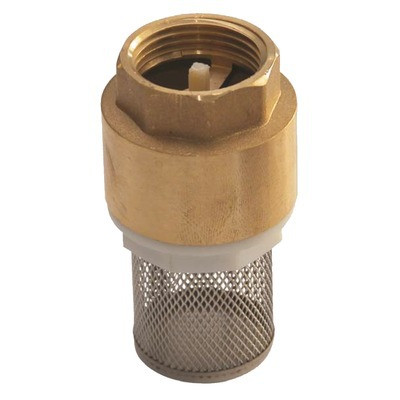 Foot valve with inlet filter, all positions 1 1/4"- DIFF - 110618