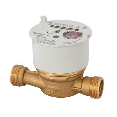 Sub-meter cold water hot water NARVAL0- ITRON - 6UAB20Y130CR100LFBXN