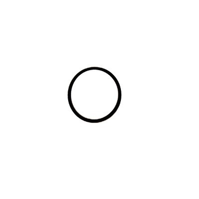 O-ring 49.21x3.53- IMMERGAS - 1.1743