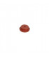 Goma portasonda de humos Ø4x30 mm- DIFF - 150659
