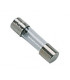 Fusible 250v 1.25a- DIFF pour Chaffoteaux - 61003635  - (X10)