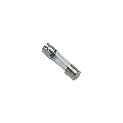 Fusible 250v 2a- DIFF pour Chaffoteaux - 60044790  - (X10)