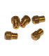 Inyector piloto Ø 0,16- DIFF pour Chaffoteaux - 60034079  - (X10)