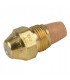 Nozzle DELAVAN 1,00G 70° B- DELAVAN - 100D70B