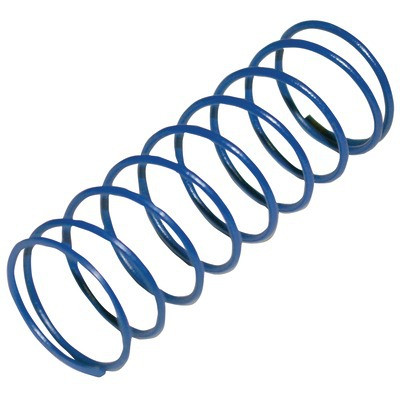 Ressort bleu régulateur FRS FF3/4" 10'30mb- DUNGS - 229836
